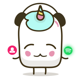 Spotify Artist Followers